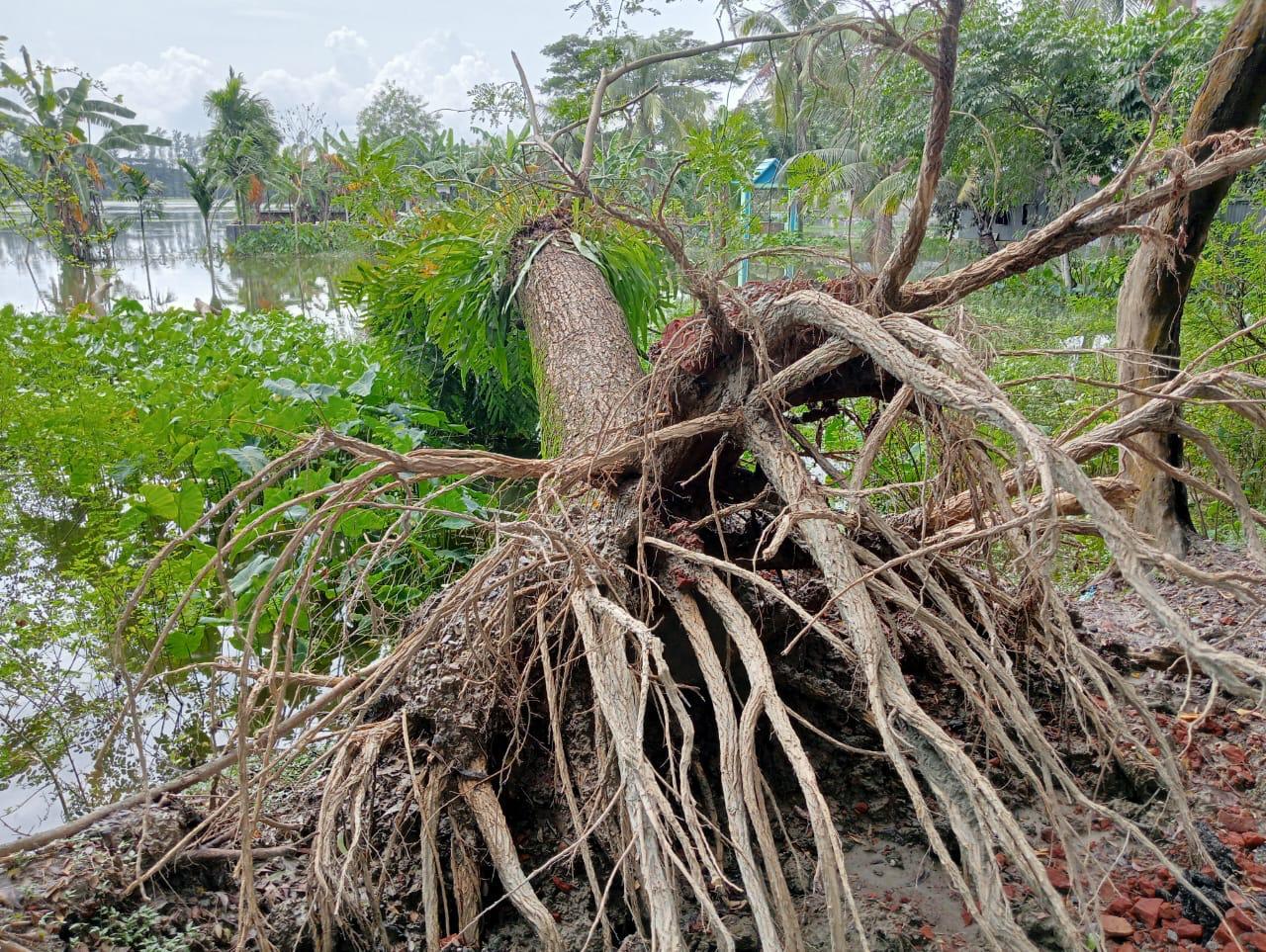 PATH Bangladesh